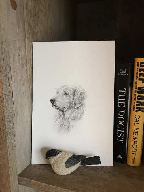 Shiloh pencil portrait